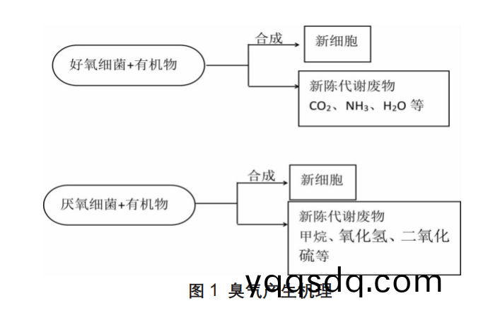 固(gu)廢(fei)廢(fei)氣(qi)處(chu)理的特(te)點(dian)