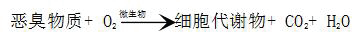 生物濾(lv)池(chi)反應(ying)原(yuan)理(li)
